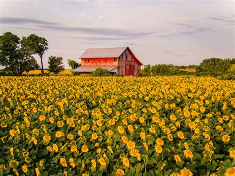 Farm & fleet rice lake wisconsin - Finance Your Farm. When starting out, each farm finds its own mix of appropriate financing depending on what the aim of the operation is, where it’s located, and how much upfront a farmer may have to put down. Generally, farmers have a better time gaining access to capital by working with specialized agricultural lenders, like Farm Credit or ... 